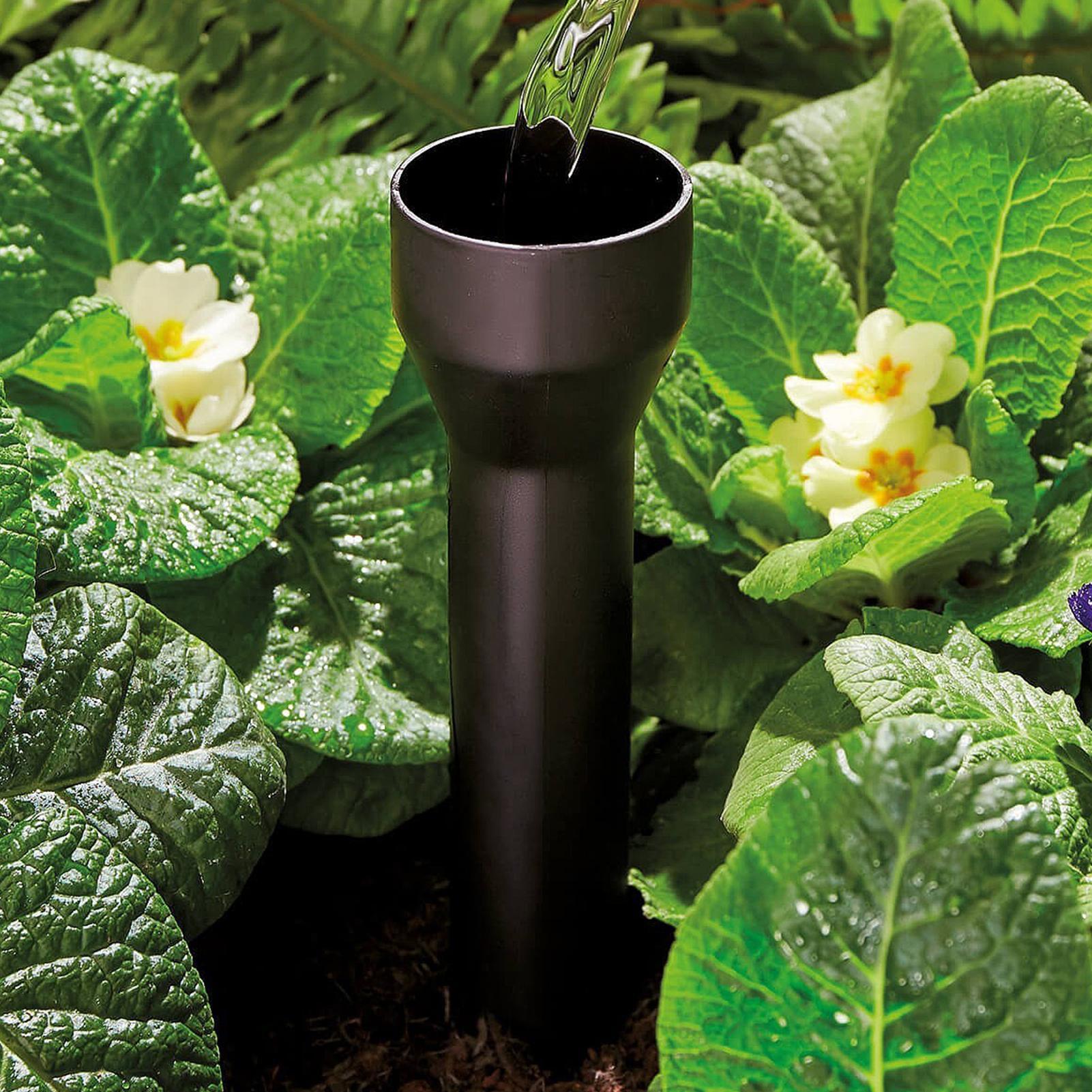 Garden Watering Spikes 3 Pack  - Pothos 评论和价格