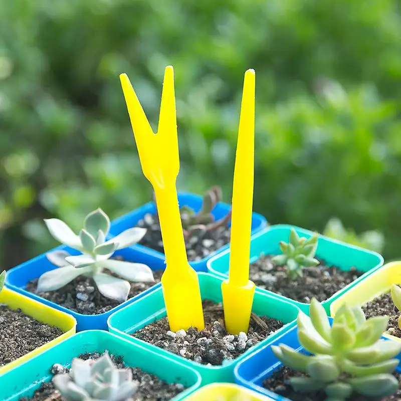 1/10Pcs Sowing Succulents Tran - Succulent Set 评论和价格