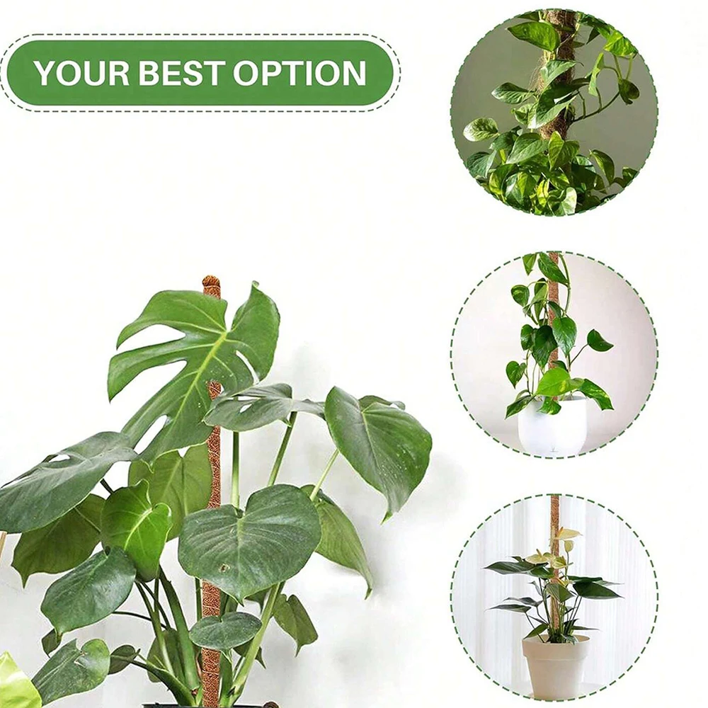 Monstera Plant Moss Pole Suppo - Plant Support Stake 评论和价格