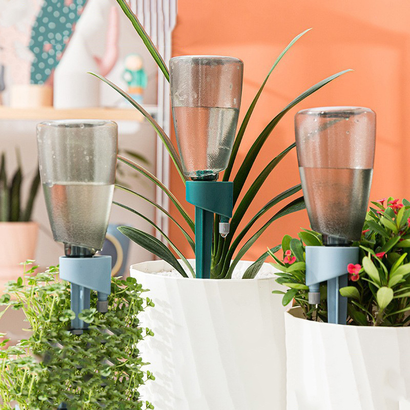 New Automatic Flower Watering  - Pothos 评论和价格