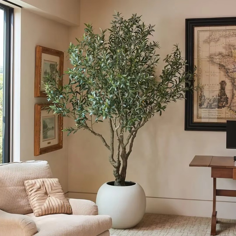 Customizable 90cm 120cm 150cm  - Indoor Plants 评论和价格