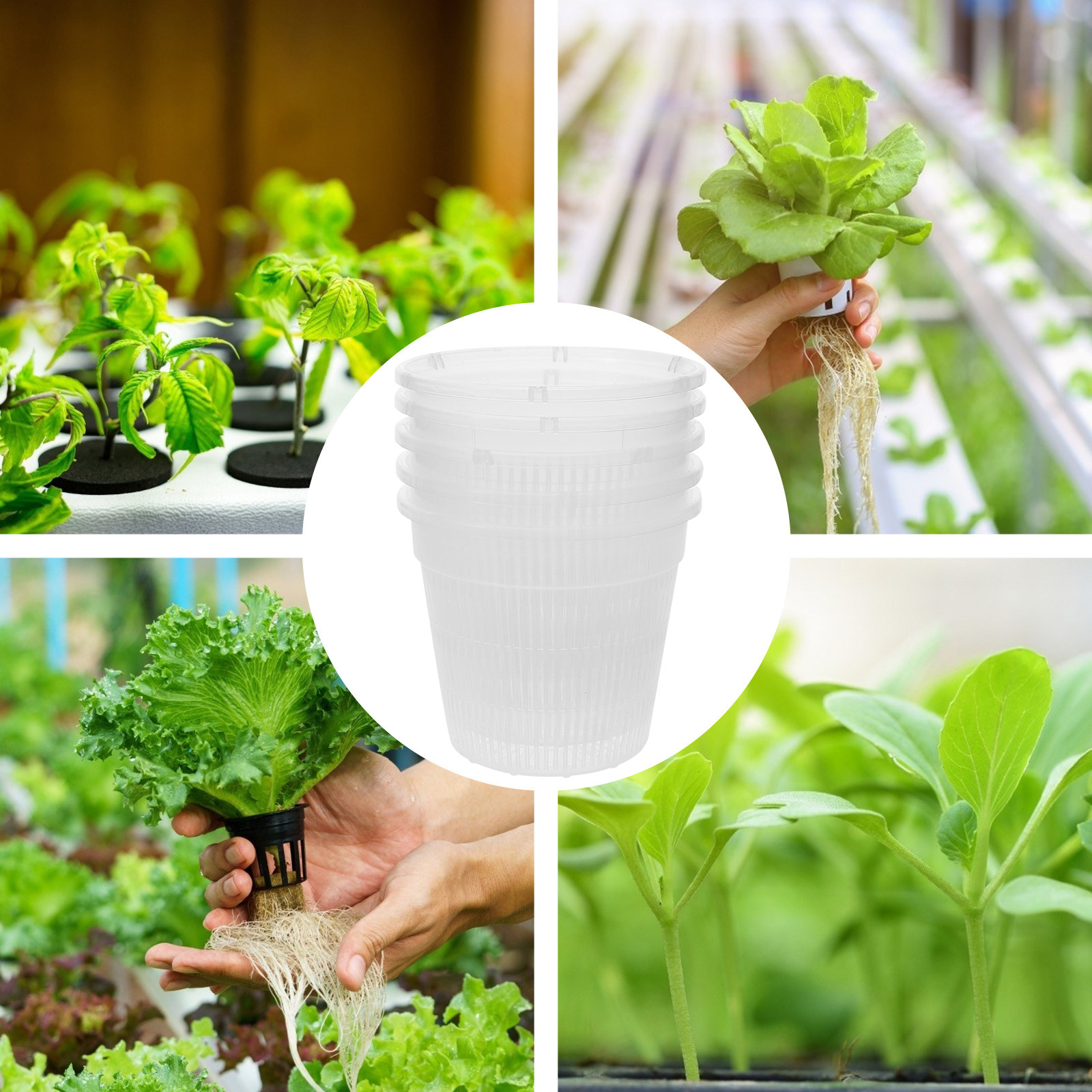 5Pcs Hydroponic Planting Net P - Indoor Plants 评论和价格