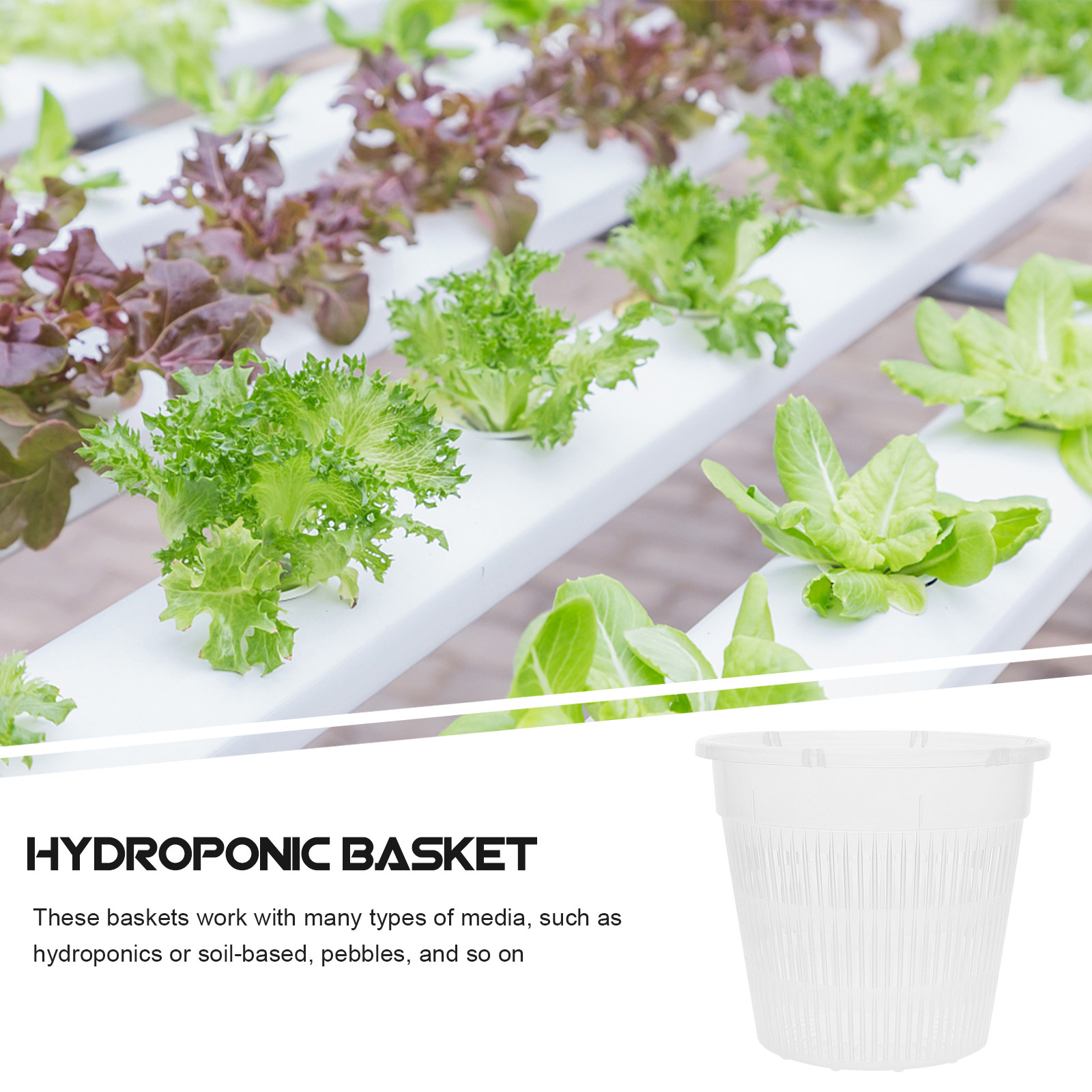5Pcs Hydroponic Planting Net P - Indoor Plants 评论和价格