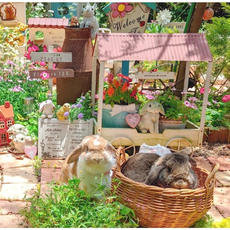Ins Resin Flower Pot English B - Plant Pot 评论和价格