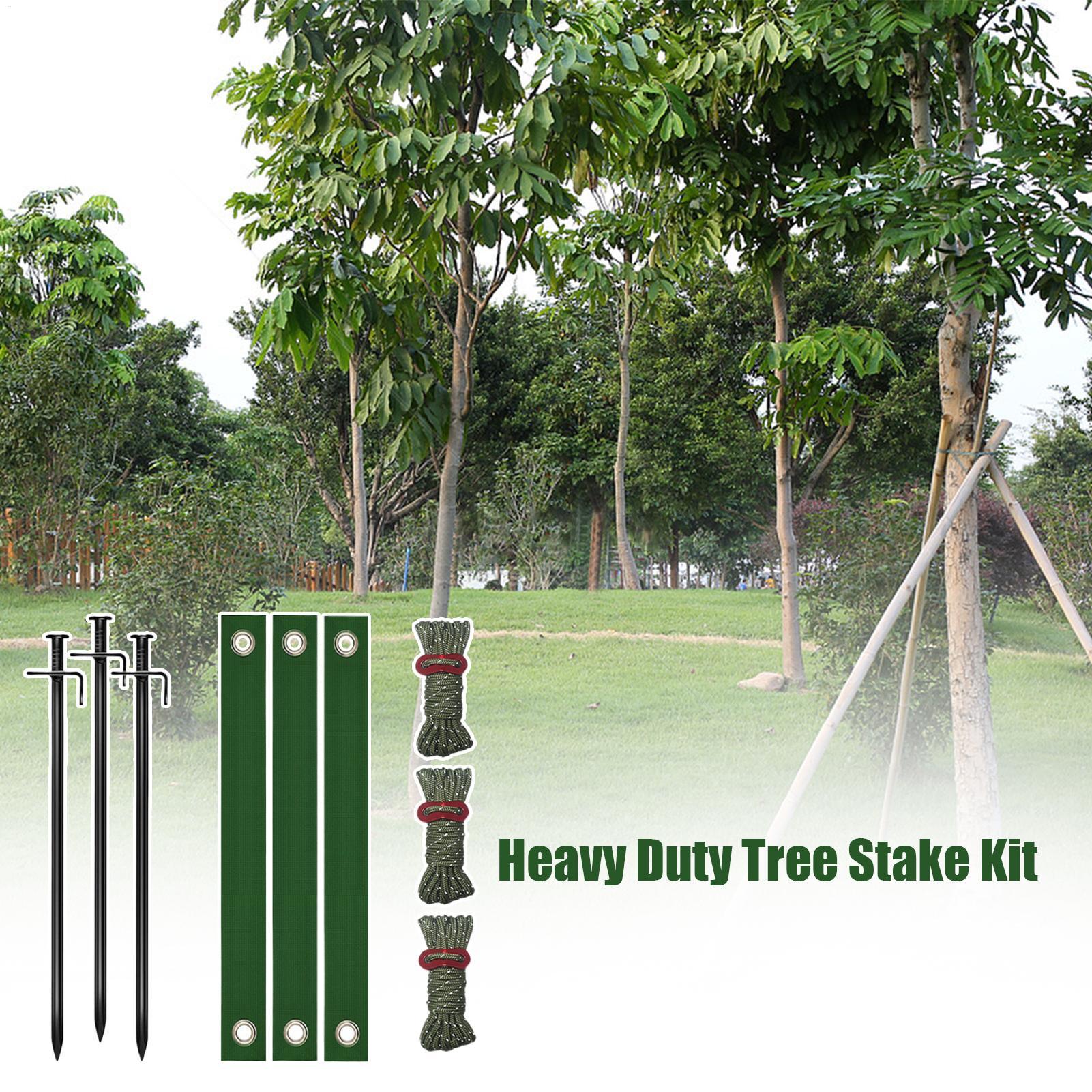 Tree Stakes Plant Support Stak - Plant Support Stake 评论和价格
