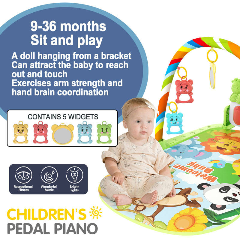 Baby Music Activity Gym Rug Pl - Repotting Mat 评论和价格