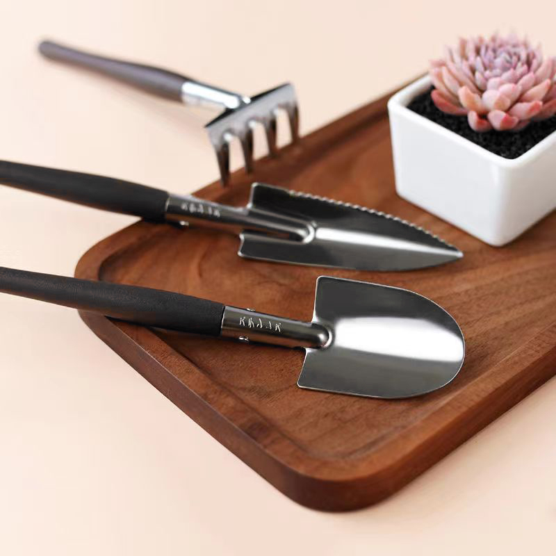 3pcs/set, Garden Tool Set Rake - Succulent Set 评论和价格