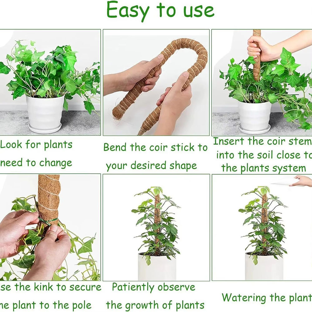 Horticultural Coconut Palm Sti - Pothos 评论和价格