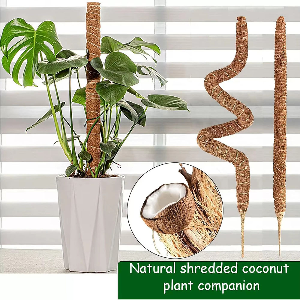 Horticultural Coconut Palm Sti - Pothos 评论和价格