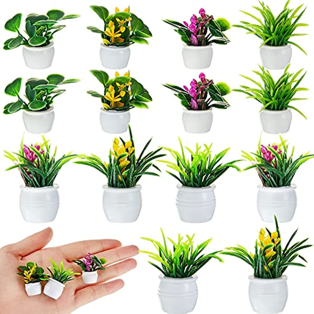 Dollhouse Plant, Miniature Bon - Terracotta Pot 评论和价格