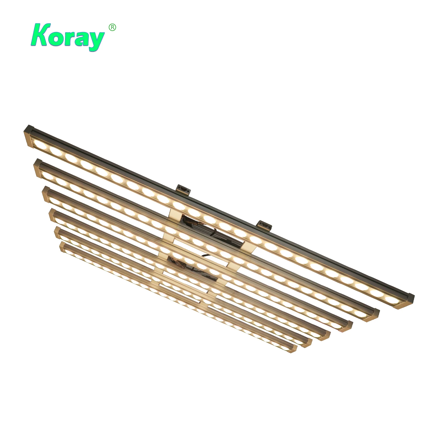 Koray 900W Indoor full spectru - Indoor Plants 评论和价格