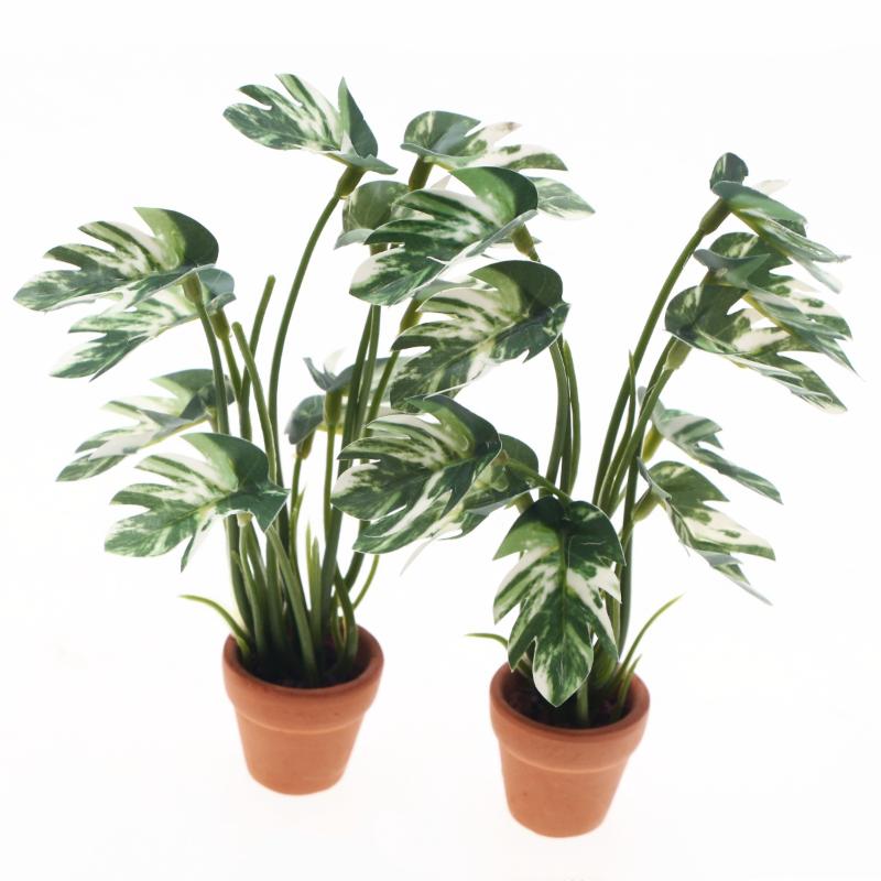 New.1PC 1/12 Dollhouse Simulat - Pothos 评论和价格