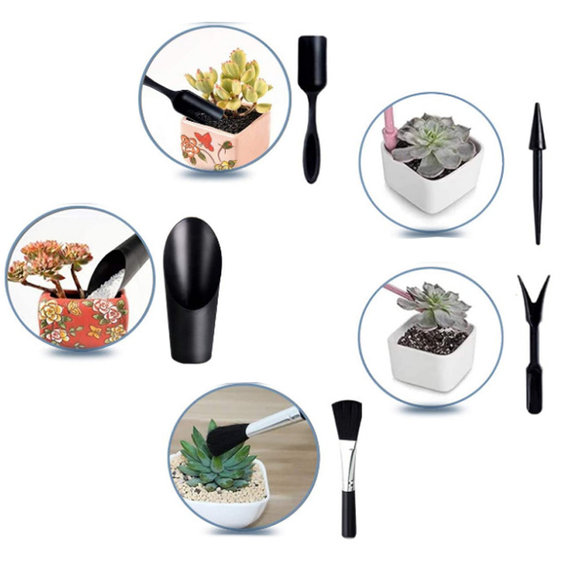 Mini Gardening Tool Set Label  - Succulent Set 评论和价格