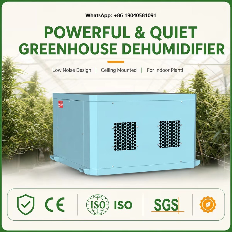 Powerful Greenhouse Dehumidifi - Indoor Plants 评论和价格